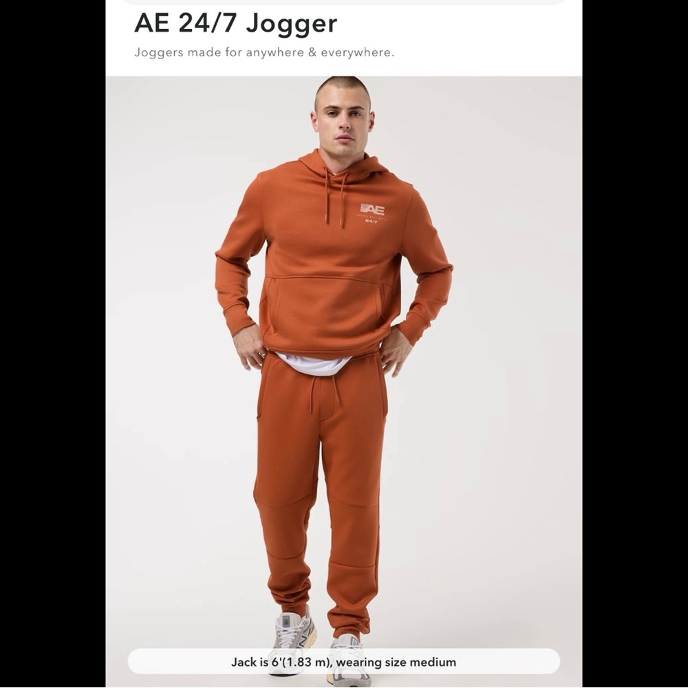 NWT American Eagle Outfitters 24/7 Good Vibes Joggers - Rust, medium